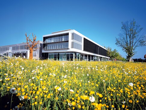 Firmenzentrale von bösch vom Gras aus mit der Froschperspektive fotografiert